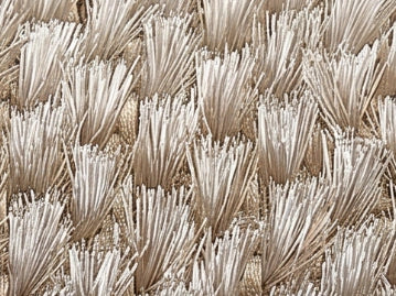 Close view of dense bristle texture