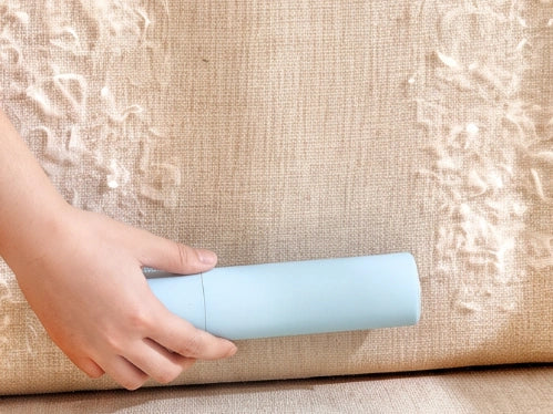 PAWOZA Clean brushing a linen sofa cushion
